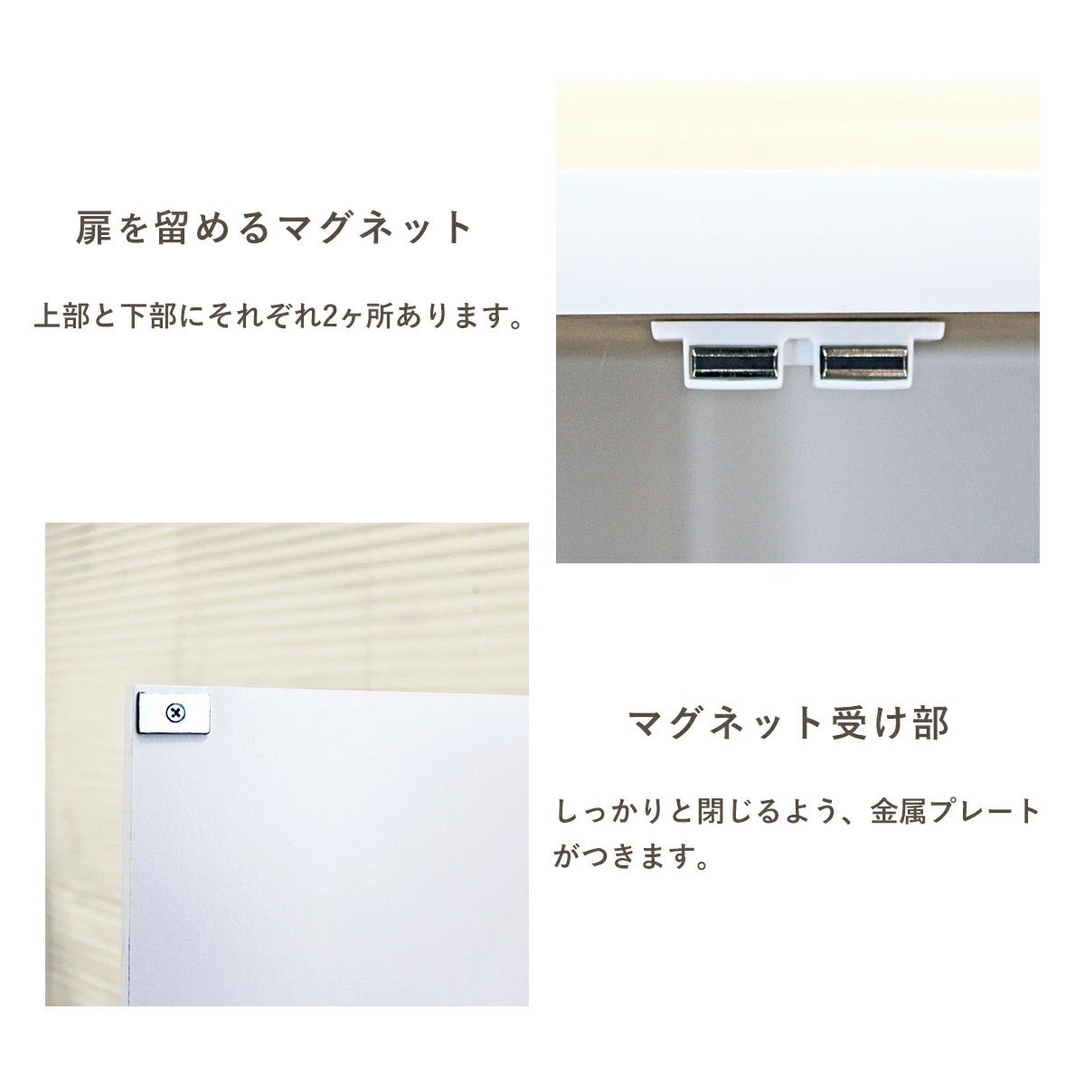 本棚 扉付き DVDラック ＜JS70＞ | SESAME家具インテリア