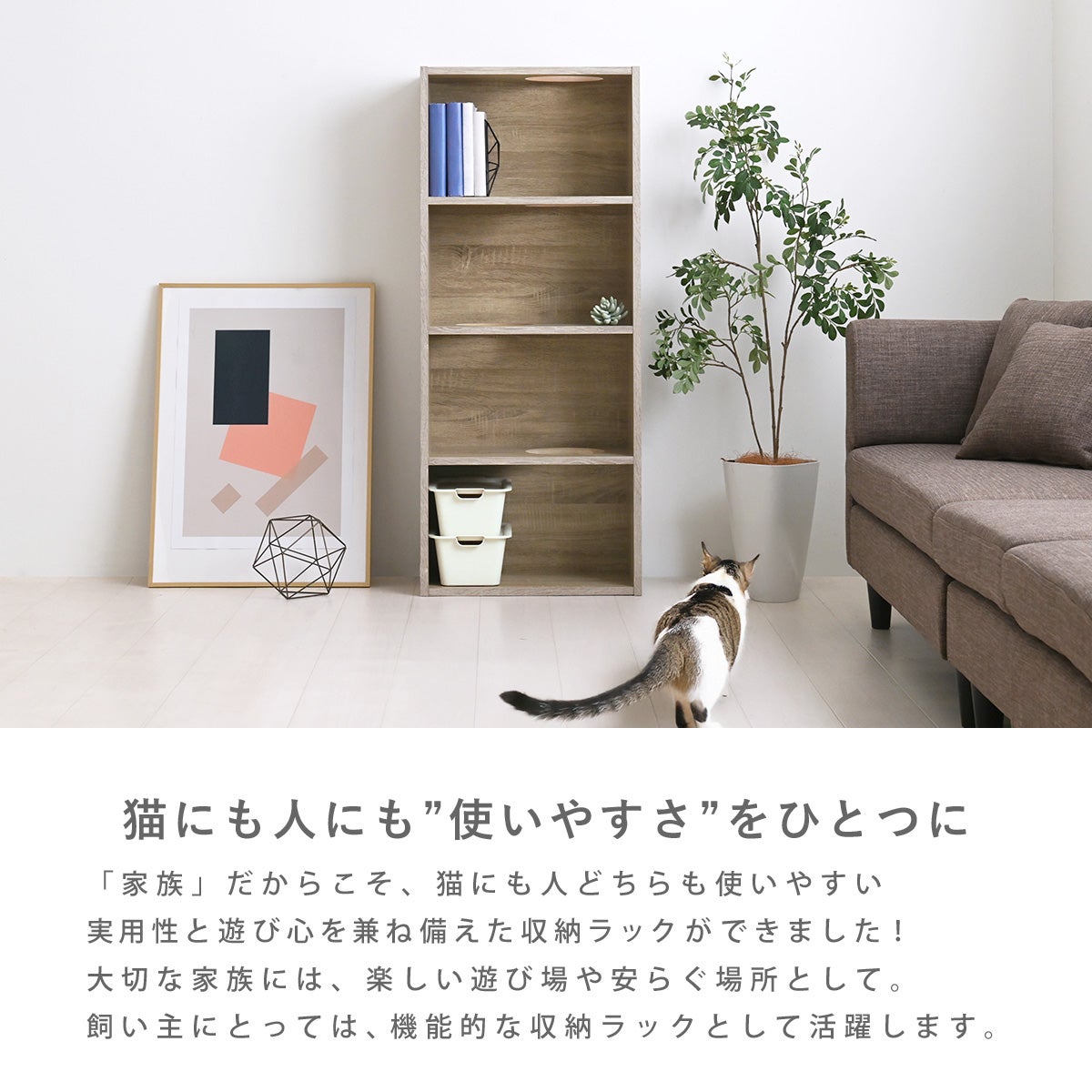 CAT COLOR BOX | SESAME家具インテリア