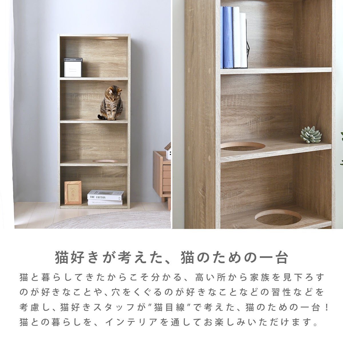 CAT COLOR BOX | SESAME家具インテリア