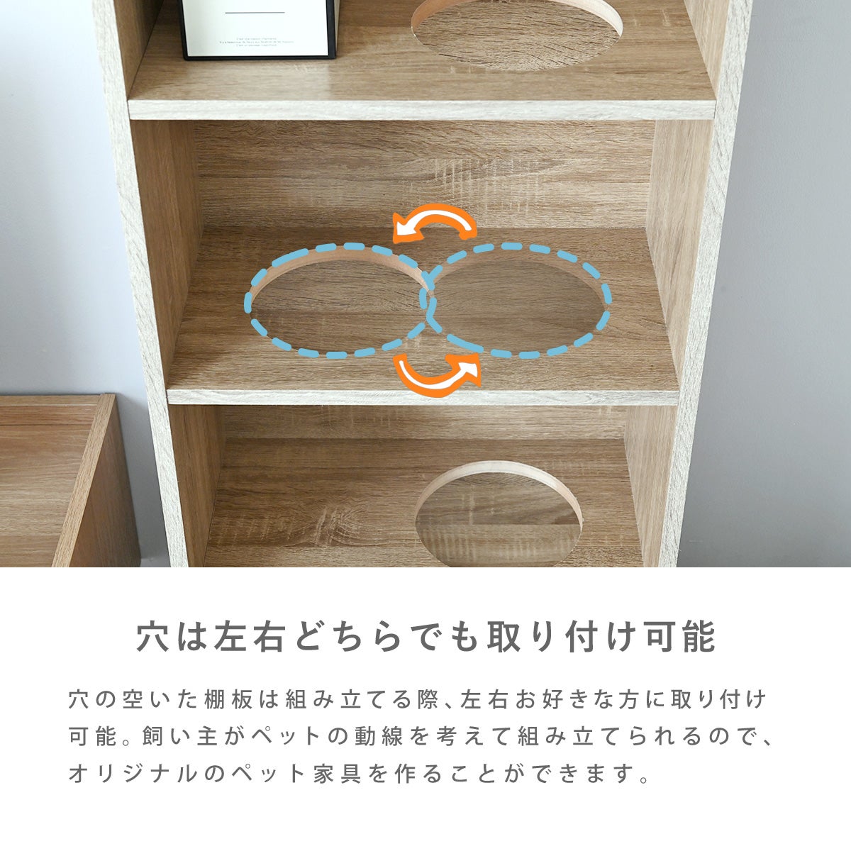CAT COLOR BOX | SESAME家具インテリア