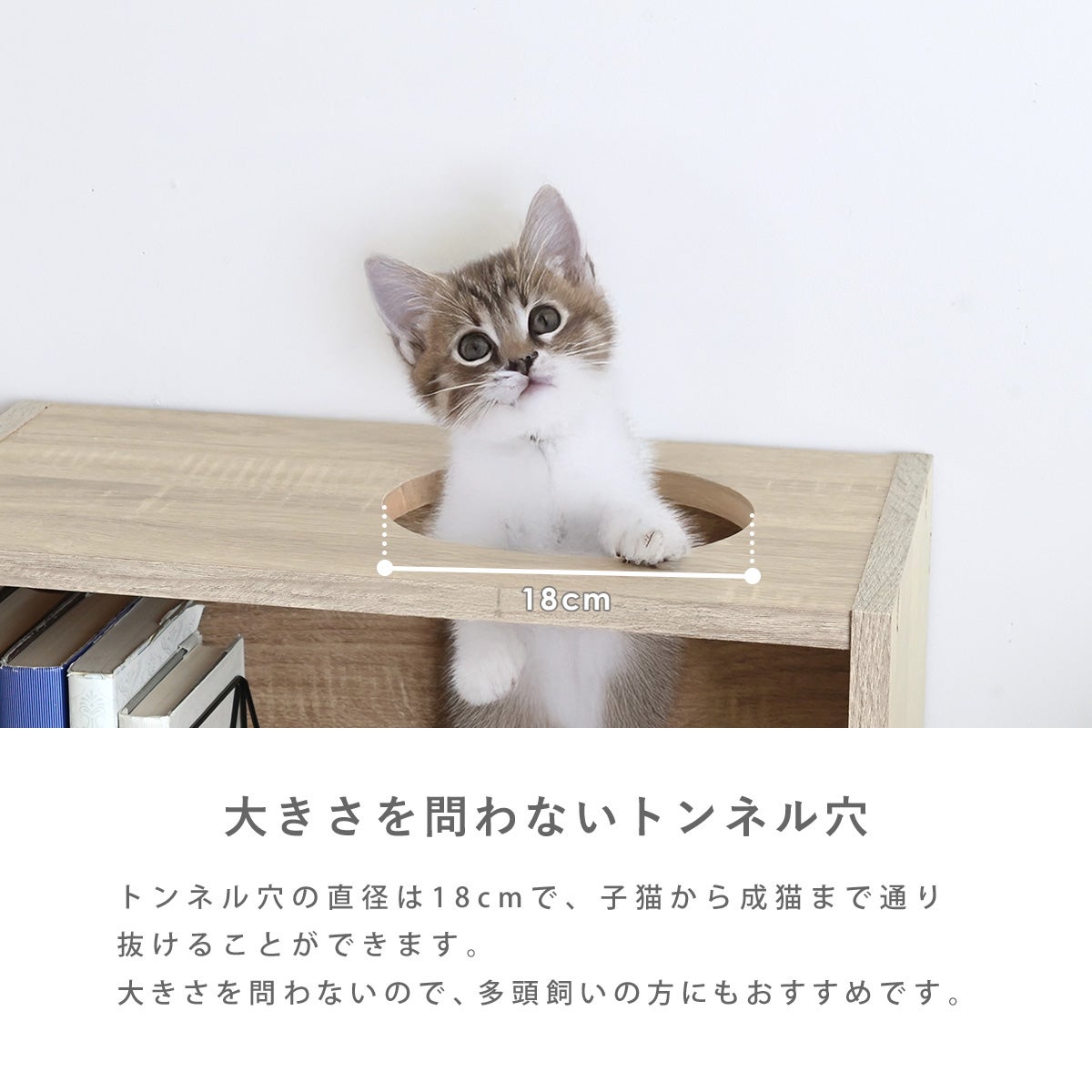 CAT COLOR BOX | SESAME家具インテリア