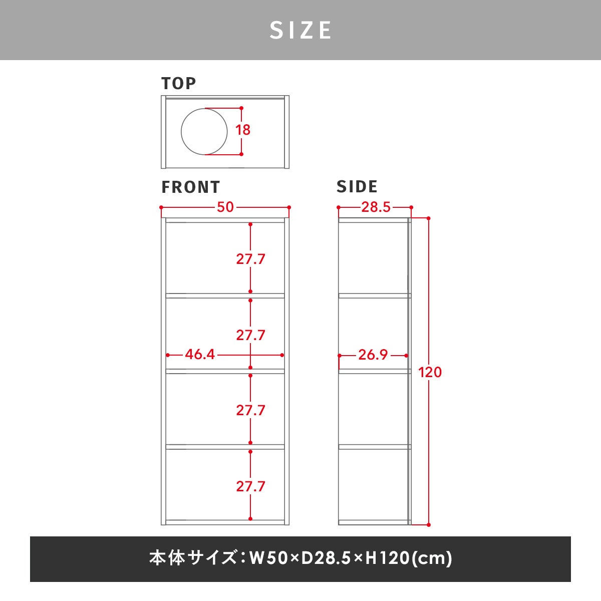 CAT COLOR BOX | SESAME家具インテリア