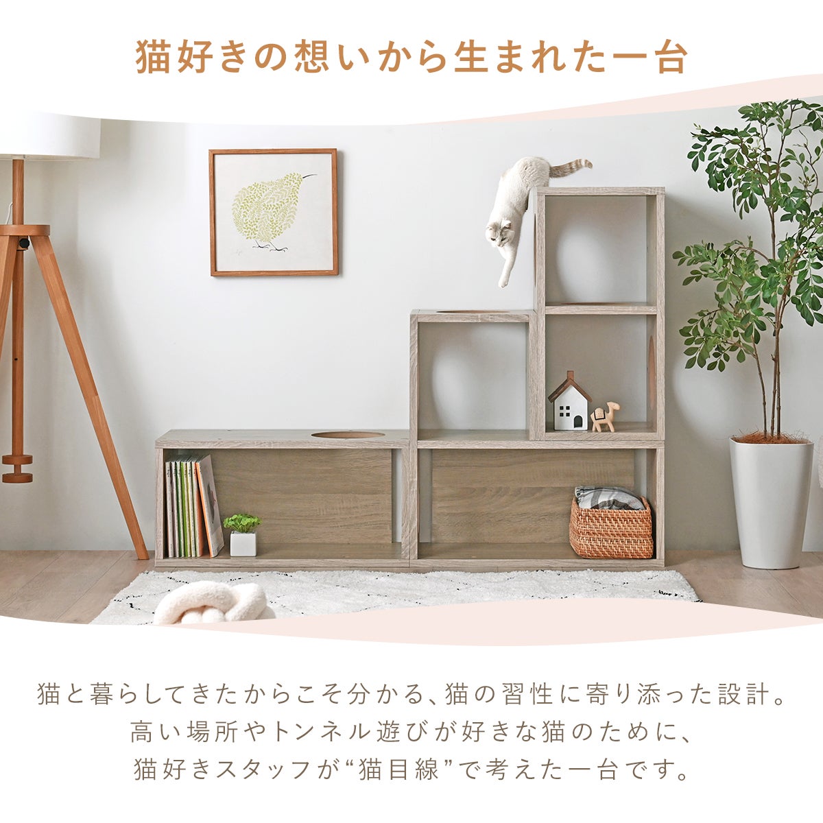 CAT BLOCK OAK | SESAME家具インテリア